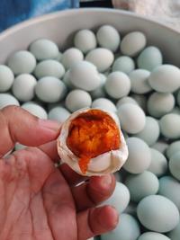 Gambar Telur Bebek Asin Matang Fresh Enak dan Gurih dari Telur Asin Umi undefined 3 Tokopedia