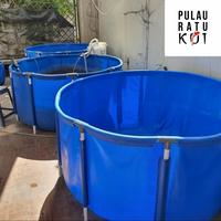 Gambar Kolam VAT Karantina Ikan Koi size M D150 T80| Pulau Ratu Koi | Medium Full Set PVC Kokoh & Terpaulin ORCHID Semi Karet Hemat Ruang dari Pulau Ratu Koi undefined 1 Tokopedia