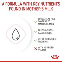 Gambar Royal Canin Baby Cat Milk Susu Bayi Anak Kucing 300gr dari Petshop ID Tangerang undefined 4 Tokopedia