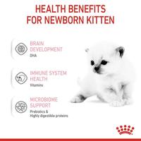 Gambar Royal Canin Baby Cat Milk Susu Bayi Anak Kucing 300gr dari Petshop ID Tangerang undefined 5 Tokopedia