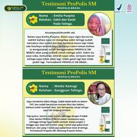 Gambar Obat Tetes Telinga Gatal Dan Berair Berdengung Infeksi Congek Bernanah dari Iki Herbal undefined 4 Tokopedia