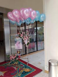 Gambar Balon Gas Helium dari Lottus-22 undefined 4 Tokopedia