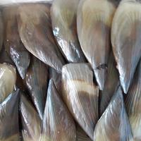 Gambar Kerang kampak Sedang dari Lucky Seafood undefined 1 Tokopedia