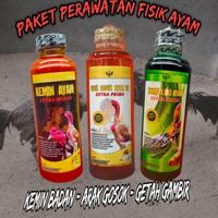 Gambar PAKET Perawatan fisik ayam aduan arak gosok khemin getah gambir kemin dari Sapphirastore undefined 1 Tokopedia