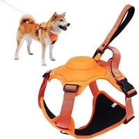 Gambar tali tuntun anjing otomatis automatic adjustable dog harness collar auto lock retractable - size M dari acosonic undefined 1 Tokopedia