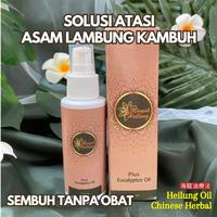 Gambar Minyak Heilung Oil ampuh atasi Terapi Stroke Sembuh Tanpa Obat dari HERBAL_AMANAH _JAYA undefined 2 Tokopedia