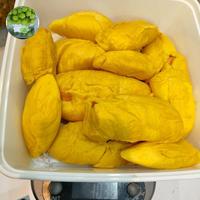 Gambar Buah durian musang king fresh kupas utuh  Manis dari fresh Fruit Riansyah undefined 1 Tokopedia