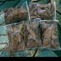 Gambar Ketapang Laut Olahan Siap Pakai Untuk Berbagai Ikan Hias dari partera Aquatic undefined 1 Tokopedia