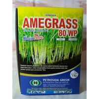 Gambar herbisida khusus tanaman tebu AMEGRASS 80WP kemasan 1kg dari ok tani undefined 1 Tokopedia