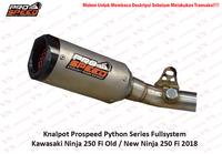 Gambar Knalpot Prospeed Python Series Ninja 250 Fi CBR 250RR Fullsystem - Ninja 250Fi Old dari VN Motoshop undefined 3 Tokopedia
