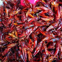 Gambar Walang Goreng - Original dari Walang Goreng Handayani undefined 5 Tokopedia