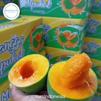 Gambar mangga alpukat 5kg mangga alpukat 1 dus 5 kg - 14-16 dari rumindonesia undefined 2 Tokopedia