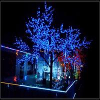 Gambar Lampu Hias Dekor Pohon Natal Solar Power Waterproof 100 LED RGB dari Istorepro undefined 3 Tokopedia