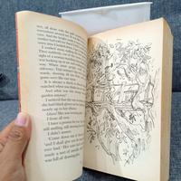 Gambar The Witches-Roald Dahl dari Bunca bookstore undefined 4 Tokopedia