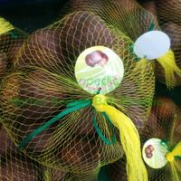 Gambar SALAK GULA PASIR ASLI DENPASAR BALI dari Bali Berkah Shop undefined 2 Tokopedia