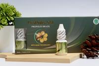 Gambar Obat Herbal Tetes Telinga Berdengung / Berdenging Propolis Sm 100% dari Risman Herbal Store undefined 3 Tokopedia