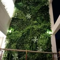 Gambar TERMURAH HIASAN DINDING VERTIKAL GARDEN SINTETIS DEKORASI OUTDOOR dari kekey shop6 undefined 3 Tokopedia