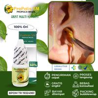 Gambar Obat Herbal Tetes Telinga Berdengung / Berdenging Propolis Sm 100% dari Risman Herbal Store undefined 1 Tokopedia