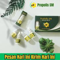 Gambar Propolis SM Brazil Isi 6ml Obat tetes cantengan nyeri telinga gatal kulit eksim benjolan sinusitis polip hidung, Trigger Finger kutil kelamin daging tumbuh kelenjar dari HERBAL RESMII undefined 1 Tokopedia