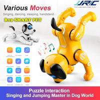 Gambar JJRC R19 Mainan Anak Anjing Smart Pet Remote Control Robot Dog Toy dari vesantra undefined 1 Tokopedia