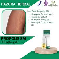 Gambar Propolis SM - Obat Penghilang Stretch Mark, Obat Penghilang Selulit dari Fazura Herbal undefined 1 Tokopedia