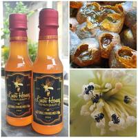 Gambar Madu Murni Lebah Trigona Linot Honey 250ml dari MiziTrade undefined 1 Tokopedia
