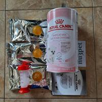 Gambar Susu ROYAL CANIN BABYCAT Milk 300Grm Anak Bayi Kucing dari Mamat Catshop undefined 5 Tokopedia