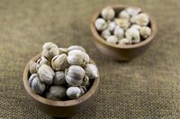 Gambar Kapulaga putih utuh 250gr ( white cardamon whole ) kapulaga lokal dari Rempah Herbs Ingredients undefined 3 Tokopedia