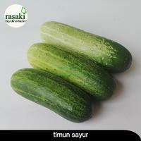 Gambar timun sayur segar 500 gr dari Rasaki hydrofarm undefined 1 Tokopedia