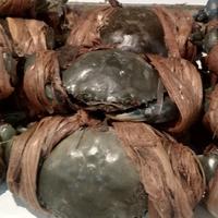Gambar KEPITING HIJAU HIDUP/ KEPITING JAWA 1-KG - 2 Ekor dari Hello Cell & Distro undefined 3 Tokopedia