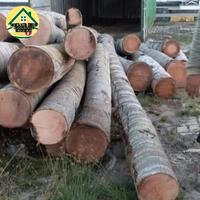 Gambar kayu kelapa glondongan dari Mansur Jaya Pusat undefined 3 Tokopedia