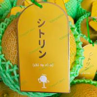 Gambar Melon Dang Sweet Melon Jepang Shitorin | Buah Melon Japan 1,6 kg dari 21 import store undefined 2 Tokopedia