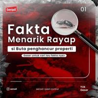 Gambar AMPUH Paket Obat Racun Anti Rayap Kayu Tanah Semprot Ampuh 1 Liter + dari Alam Semesta Farm undefined 2 Tokopedia