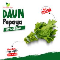 Gambar Daun Pepaya Segar 1 ikat – Sayuran Tradisional Kaya Manfaat dari kerenbeken store undefined 1 Tokopedia