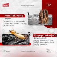 Gambar AMPUH Paket Obat Racun Anti Rayap Kayu Tanah Semprot Ampuh 1 Liter + dari Alam Semesta Farm undefined 3 Tokopedia