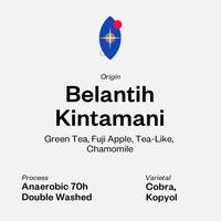 Gambar Belantih Kintamani - Calming Chamomile - Anaerobic 70h Double Washed - 200 gram dari SVURGA Coffee Roaster undefined 1 Tokopedia