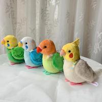 Gambar New 14cm Cockatiel Plush Toys Soft Real Life Budgie Lovebird Stuffe dari Spirit Air undefined 2 Tokopedia