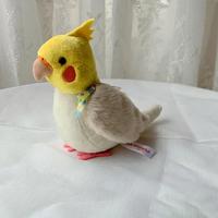 Gambar New 14cm Cockatiel Plush Toys Soft Real Life Budgie Lovebird Stuffe dari Spirit Air undefined 5 Tokopedia
