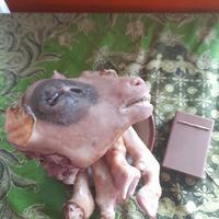 Gambar Frozen tongseng kepala kambing utuh - Pedas dari SateKlatakMagelang undefined 3 Tokopedia