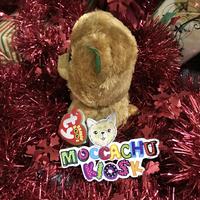 Gambar TY Beanie Boo 15 cm  Bella Brown Bear Candy Cane/boneka beruang coklat dari Moccachu Kiosk undefined 3 Tokopedia