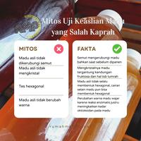 Gambar Madu Murni Nektar Mangga Asli 100% Pure Raw Honey | RUMAH MADU PACET - 350 gram dari Rumah Madu Pacet_NEW undefined 4 Tokopedia