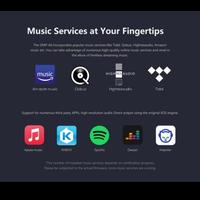 Gambar Eversolo DMP-A6 Network Audio Streamer with DAC dari distributorkomputer undefined 4 Tokopedia