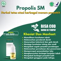 Gambar Obat Tetes Biduran Menahun, Kulit Bentol Gatal, Alergi Dingin Kaligata dari Herbal Original Tasikmalaya undefined 2 Tokopedia