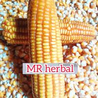 Gambar Jual Benih jagung lokal super 1 kg dari mr herbal bdg undefined 1 Tokopedia