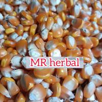 Gambar Jual Benih jagung lokal super 1 kg dari mr herbal bdg undefined 2 Tokopedia