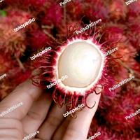 Gambar BUAH RAMBUTAN SWEET&FRESH ISI 2 IKAT PER PACK - RAPIAH dari Pelita99Store undefined 1 Tokopedia