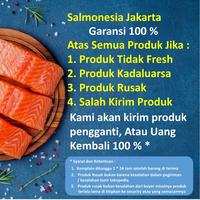 Gambar ikan salmon 1 kg Salmon Fillet Premium Quality - 100 gram dari Salmonesia Jakarta undefined 4 Tokopedia