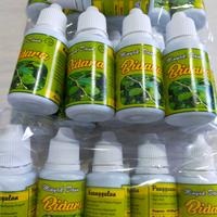Gambar minyak daun bidara ruqyah 30 ml asli Sidr Oil dari GALERI_BIDARA undefined 1 Tokopedia