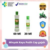 Gambar Minyak kayu putih cap gajah 30 & 60ML - 30 Ml dari Kusuma Tulip undefined 1 Tokopedia