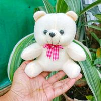 Gambar BONEKA BERUANG KECIL BONEKA BUKET VALENTINE BONEKA CAPIT PITA 15CM dari VOLSHOP JOGJA undefined 3 Tokopedia